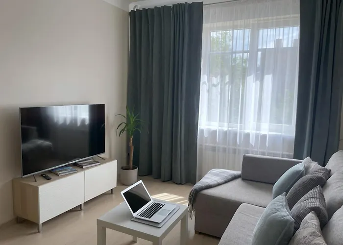 Old Town Riverside Cathedral 公寓 维尔纽斯