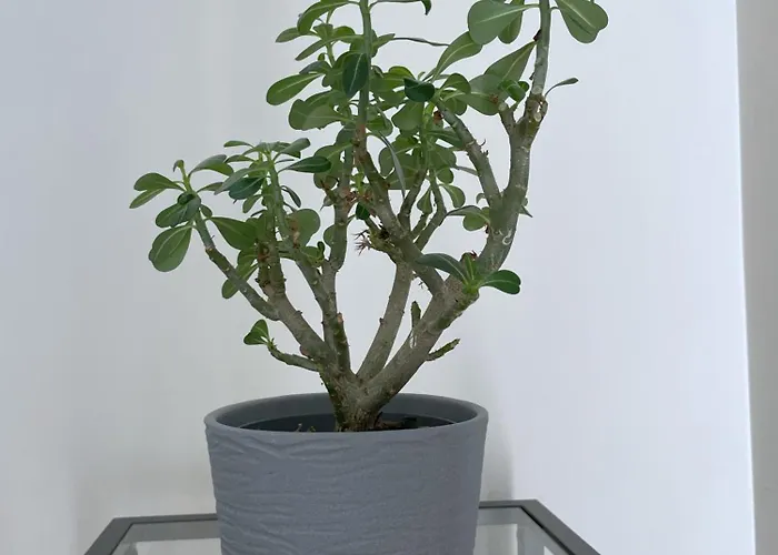 Old Town Riverside Cathedral *