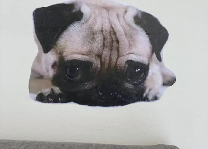 Old Town Riverside Cathedral