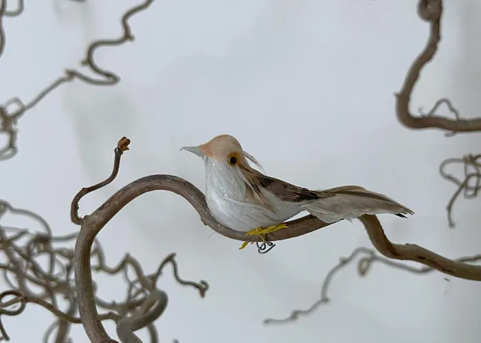 Old Town Riverside Cathedral Apartment